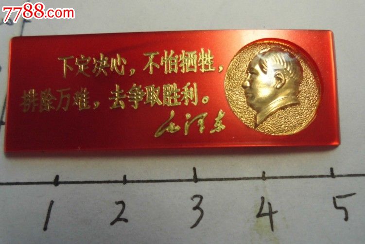 维罗纳众将奉献拼搏，拼尽全力争取胜利的简单介绍